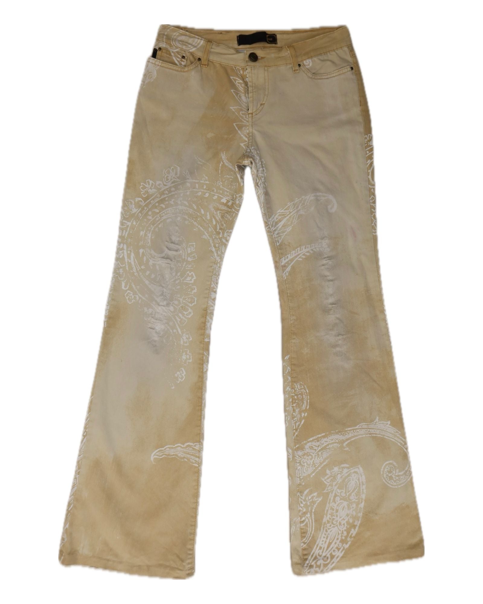 Just Cavalli Bacteria